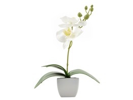 Kunstplant    orchidee   H   22.5cm