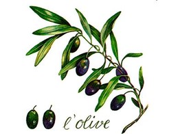 Servet Papier 33 x 33 cm L  Olive  20 - delig  